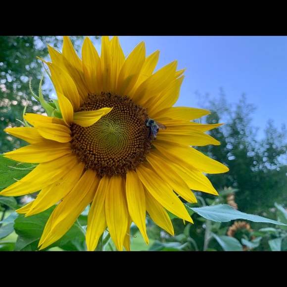 Meet your Posher, Kate - Picture 2 of 5